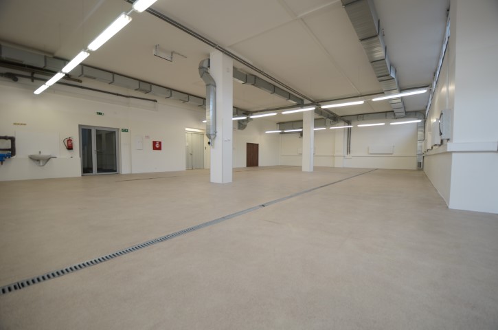 BC Malešická